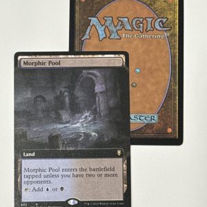 Morphic Pool Extended Art BX13