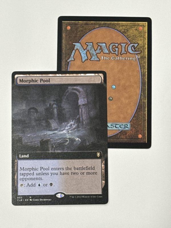 Morphic Pool Extended Art BX13
