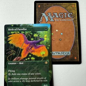 Birds of Paradise Extended Art