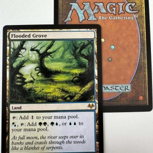 Flooded Grove