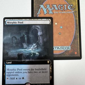 Morphic Pool Extended Art