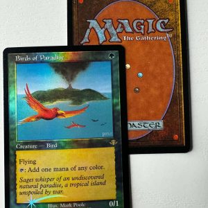 Birds of Paradise Retro Frame Foil