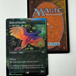 Birds of Paradise Extended Art Foil