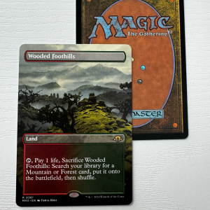 Wooded Foothills Modern Horizons 3