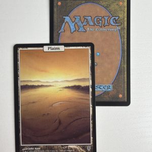 Plains Unhinged TL31