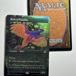 Birds of Paradise Dominaria Remastered Borderless Foil BX11