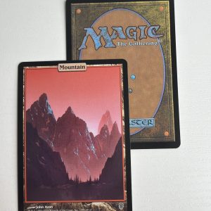 Mountain Unhinged TL31
