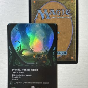 Evendo, Waking Haven Foil BX19