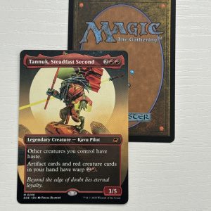 Tannuk, Steadfast Second Borderless BX17