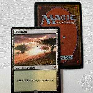 Savannah Vintage Masters