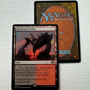 Bloodstained Mire Modern Horizons 3 Standard Frame