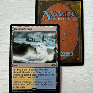 Flooded Strand Modern Horizons 3 Standard Frame