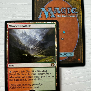 Wooded Foothills Modern Horizons 3 Standard Frame