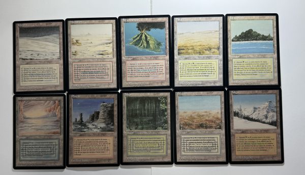 Bundle F French Dual Land Lot of 10
