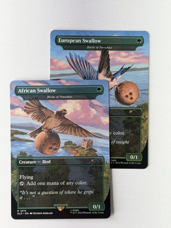 African Swallow Birds of Paradise TL37