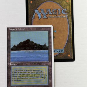 Tropical Island Summer Magic TL42