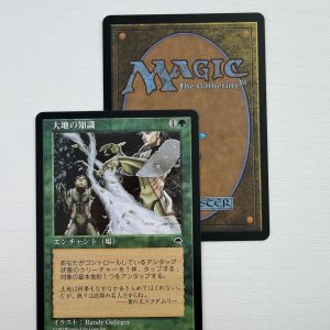 Earthcraft Tempest Japanese TL16