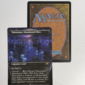 Takenuma, Abandoned Mire Borderless TL49