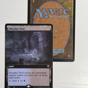 Morphic Pool Extended Art TL50