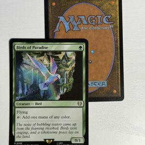 Birds of Paradise LTC TL50