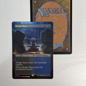 Hedge Maze Borderless Foil TL57