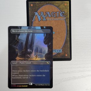 Meticulous Archive Borderless Foil TL57