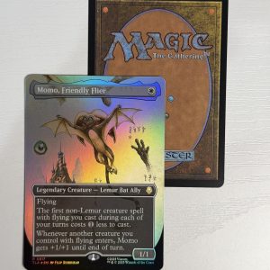 Momo, Friendly Flier Borderless Foil TL56