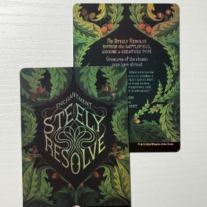 Steely Resolve Secret Lair Double Sided Foil TL39