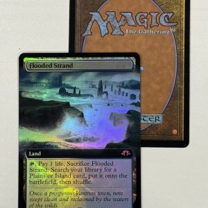 Flooded Strand MH3 Extended Art Foil BX03