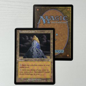 Tarnished Citadel BX05